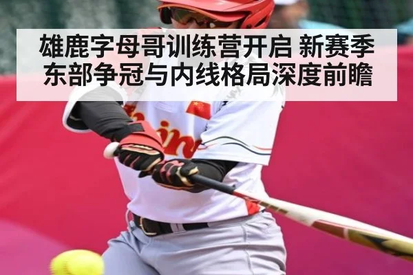 雄鹿字母哥训练营开启 新赛季东部争冠与内线格局深度前瞻